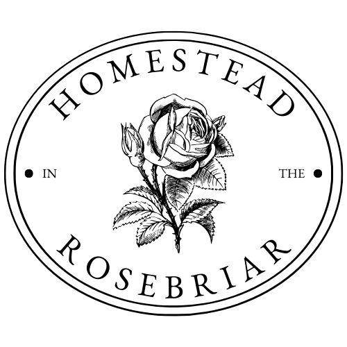 A picture of the logo for the blog website know as, "Homestead In The Rosebriar". The logo consists of an oval shape design with a digital illustration of a rose with a stem and leaves as the graphic in the middle of the oval design and with the words "Homestead In The Rosebriar" positioned around the inner perimeter of the logo design. The logo has a basic, but timeless color palette of black and white.